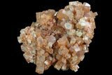 Aragonite Twinned Crystal Cluster - Morocco #87792-1